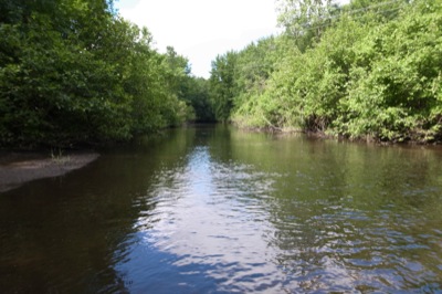 The Tamarack Creek