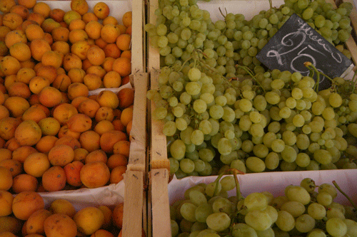 White Grapes and Apricots